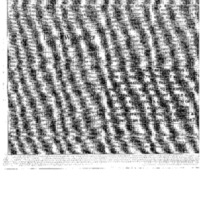 Sunken_Lounge_Article_and_Response.pdf