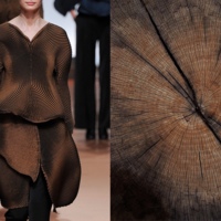 Issey Miyake FW 2014 / Cross section of tree trunk 
