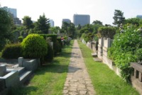 Aoyama Cemetery, Today 