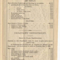 bedford county fair 2.jpg