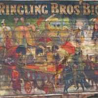 ringling2.jpg