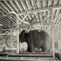 Screen Shot 2015-10-21 at 9.46.53 AM.png