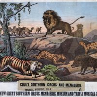 circus_wild_animals.jpg