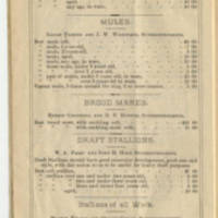 bedford county fair 3.jpg