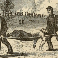 Young folk&#039;s history of the war for the union